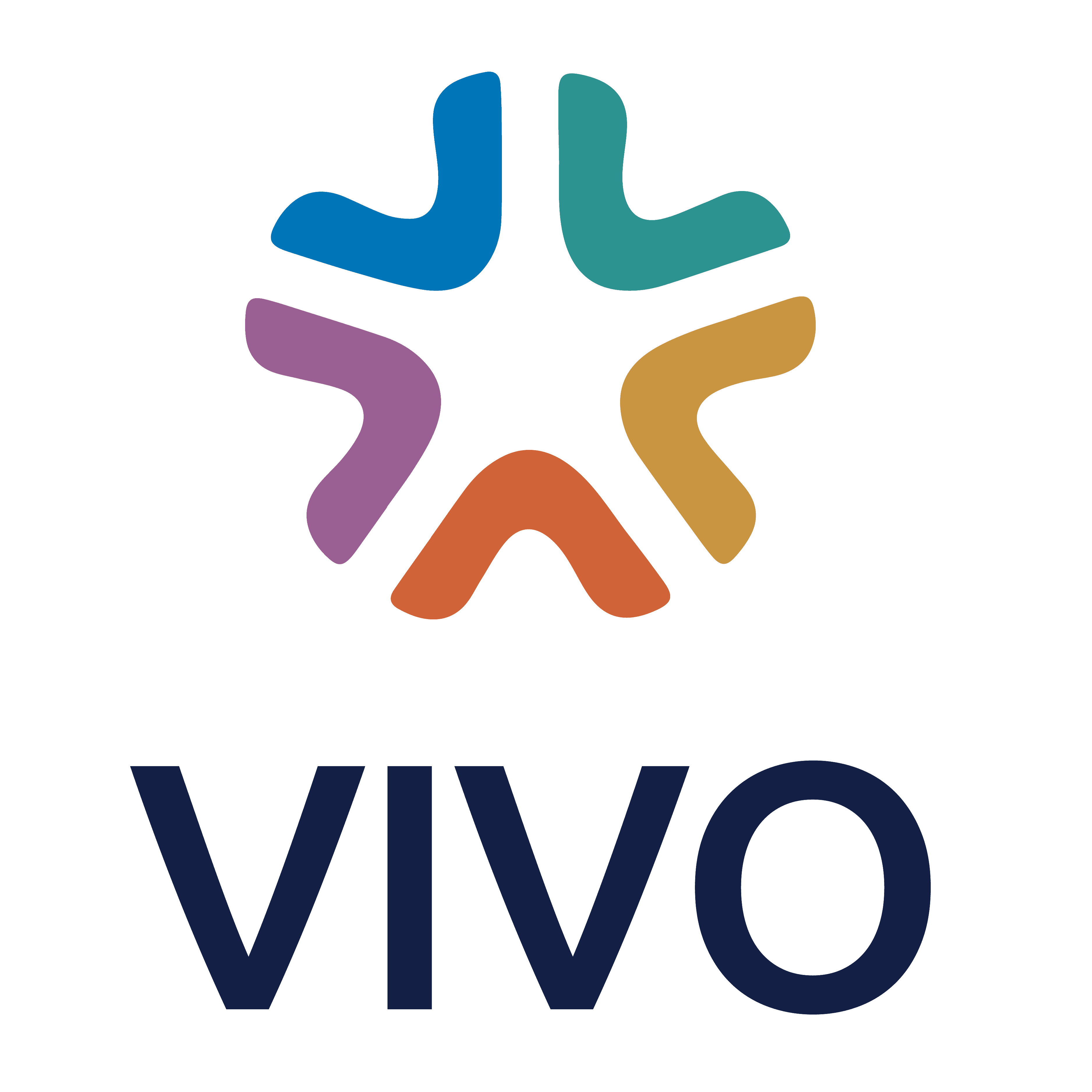 Vivo Consulting